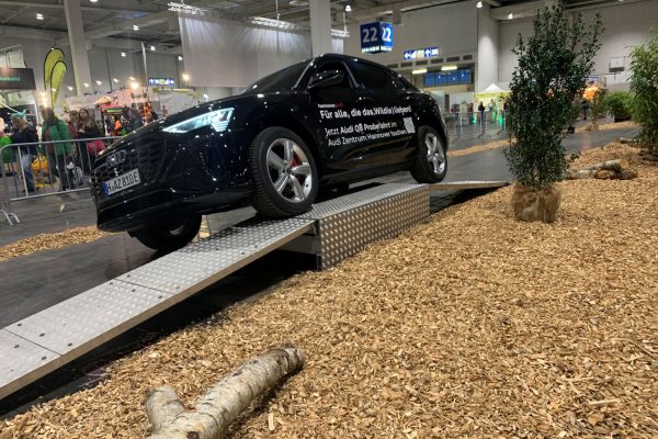 Audi_SF_IMG_6184 Audi_SF_IMG_6184